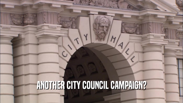 ANOTHER CITY COUNCIL CAMPAIGN?  