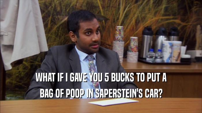 WHAT IF I GAVE YOU 5 BUCKS TO PUT A
 BAG OF POOP IN SAPERSTEIN'S CAR?
 