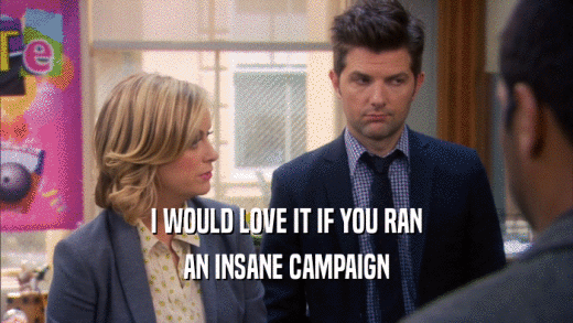 I WOULD LOVE IT IF YOU RAN AN INSANE CAMPAIGN 