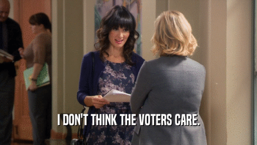I DON'T THINK THE VOTERS CARE.  