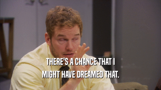 THERE'S A CHANCE THAT I MIGHT HAVE DREAMED THAT. 