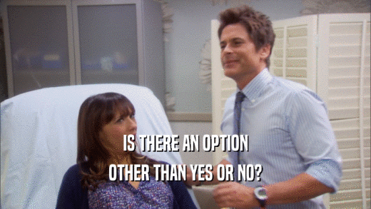 IS THERE AN OPTION OTHER THAN YES OR NO? 
