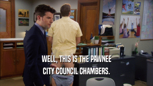 WELL, THIS IS THE PAWNEE
 CITY COUNCIL CHAMBERS.
 