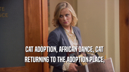 CAT ADOPTION, AFRICAN DANCE, CAT RETURNING TO THE ADOPTION PLACE, 