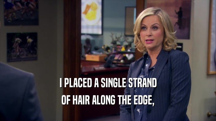I PLACED A SINGLE STRAND OF HAIR ALONG THE EDGE, 