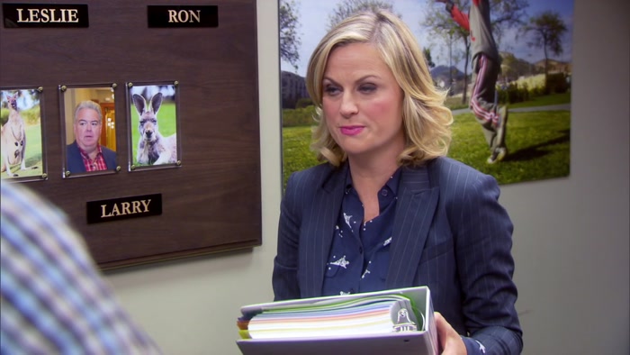 THE LESLIE KNOPE PROJECT PREPAREDNESS SUPER SYSTEM. 