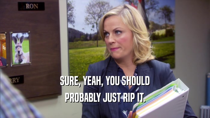 SURE, YEAH, YOU SHOULD PROBABLY JUST RIP IT. 