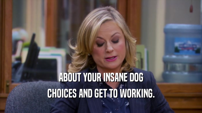 ABOUT YOUR INSANE DOG CHOICES AND GET TO WORKING. 