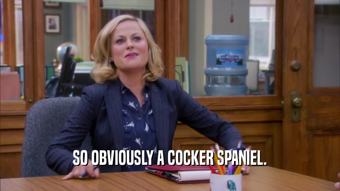 SO OBVIOUSLY A COCKER SPANIEL.  