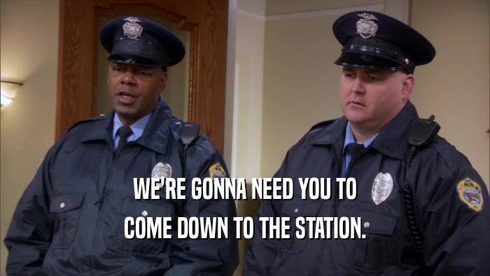 WE'RE GONNA NEED YOU TO COME DOWN TO THE STATION. 