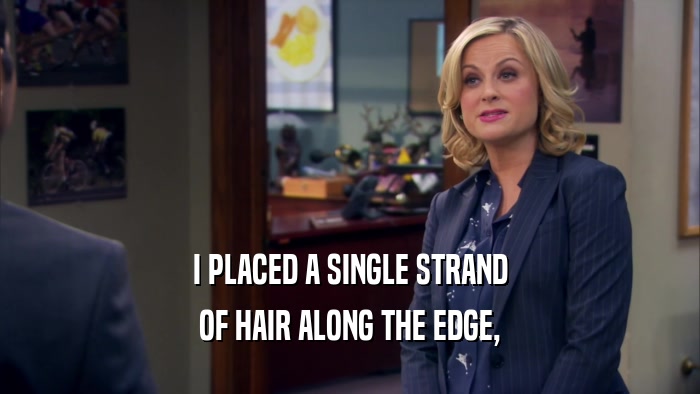 I PLACED A SINGLE STRAND OF HAIR ALONG THE EDGE, 