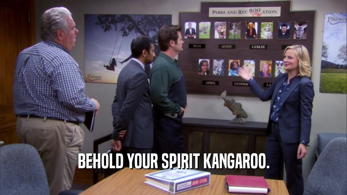 BEHOLD YOUR SPIRIT KANGAROO.  