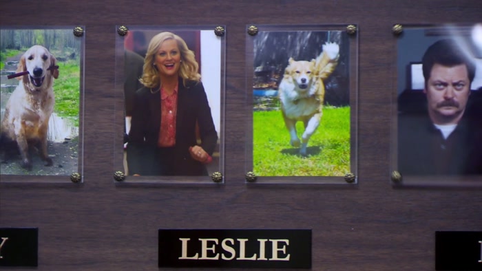 SO OBVIOUSLY A COCKER SPANIEL.  