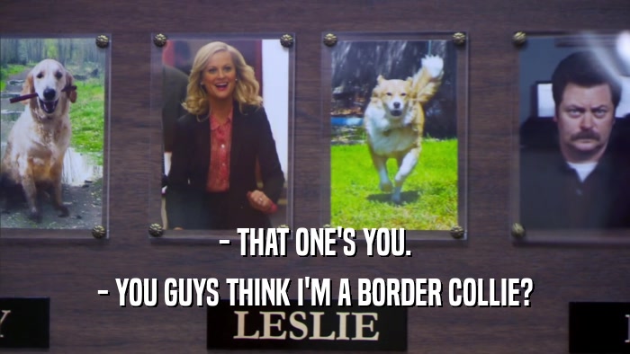 - THAT ONE'S YOU. - YOU GUYS THINK I'M A BORDER COLLIE? 