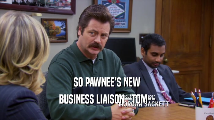 SO PAWNEE'S NEW BUSINESS LIAISON--TOM-- 