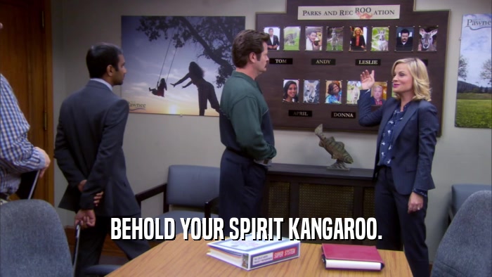 BEHOLD YOUR SPIRIT KANGAROO.  