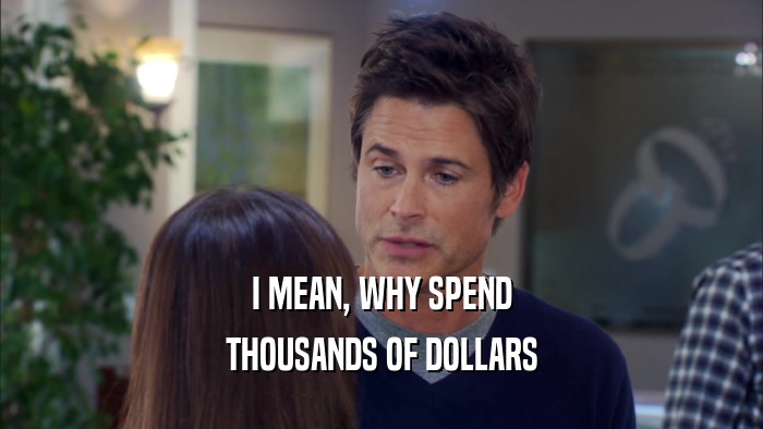 I MEAN, WHY SPEND THOUSANDS OF DOLLARS 