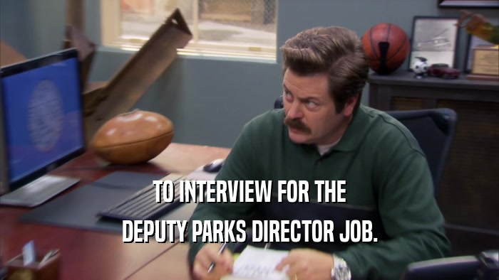 TO INTERVIEW FOR THE DEPUTY PARKS DIRECTOR JOB. 