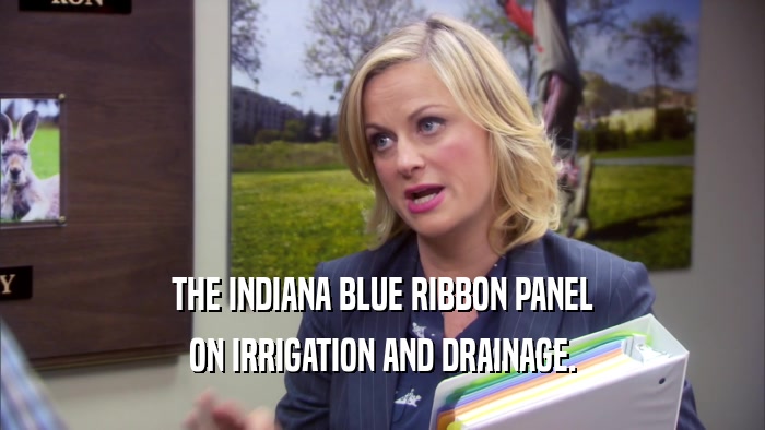 THE INDIANA BLUE RIBBON PANEL ON IRRIGATION AND DRAINAGE. 