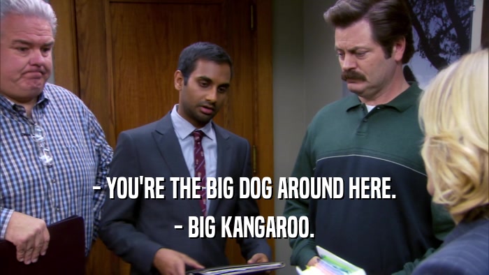 - YOU'RE THE BIG DOG AROUND HERE. - BIG KANGAROO. 
