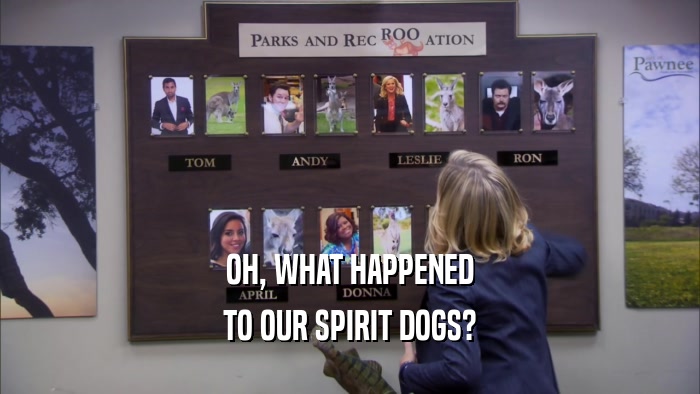 OH, WHAT HAPPENED TO OUR SPIRIT DOGS? 