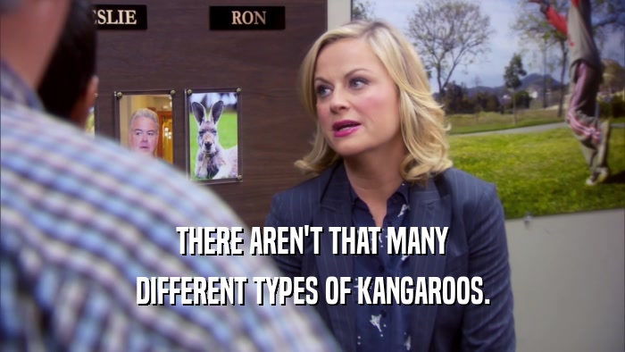 THERE AREN'T THAT MANY DIFFERENT TYPES OF KANGAROOS. 
