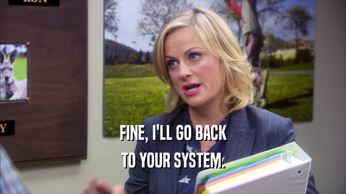 FINE, I'LL GO BACK TO YOUR SYSTEM. 