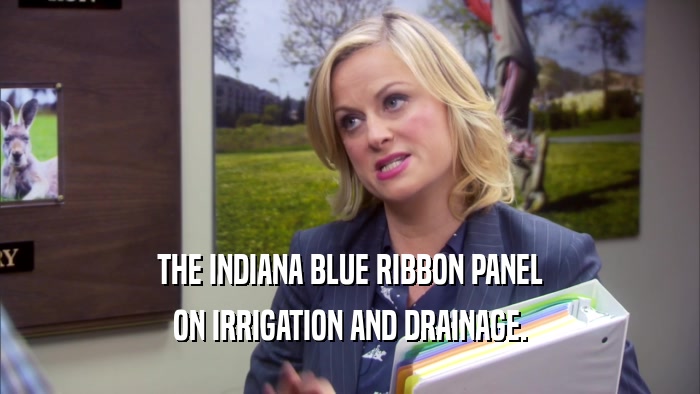 THE INDIANA BLUE RIBBON PANEL ON IRRIGATION AND DRAINAGE. 