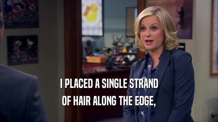 I PLACED A SINGLE STRAND OF HAIR ALONG THE EDGE, 