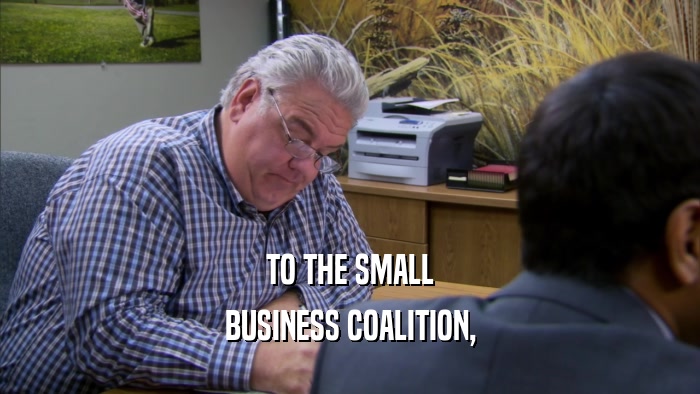 TO THE SMALL BUSINESS COALITION, 