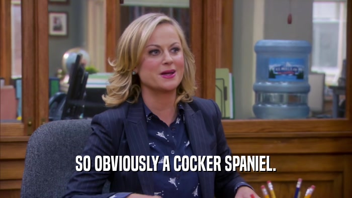 SO OBVIOUSLY A COCKER SPANIEL.  