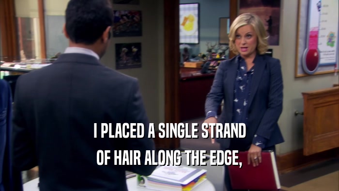 I PLACED A SINGLE STRAND OF HAIR ALONG THE EDGE, 