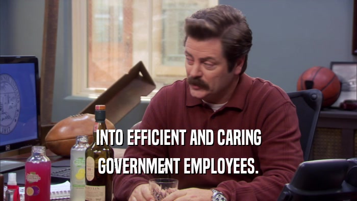 INTO EFFICIENT AND CARING GOVERNMENT EMPLOYEES. 