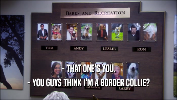 - THAT ONE'S YOU. - YOU GUYS THINK I'M A BORDER COLLIE? 