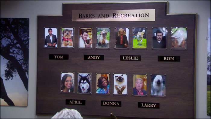 - THAT ONE'S YOU. - YOU GUYS THINK I'M A BORDER COLLIE? 