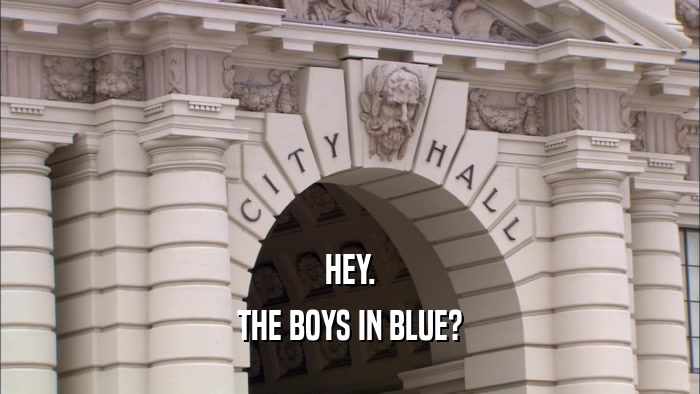 HEY. THE BOYS IN BLUE? 