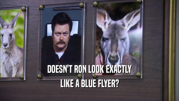 DOESN'T RON LOOK EXACTLY LIKE A BLUE FLYER? 