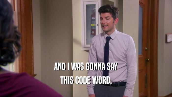 AND I WAS GONNA SAY THIS CODE WORD. 
