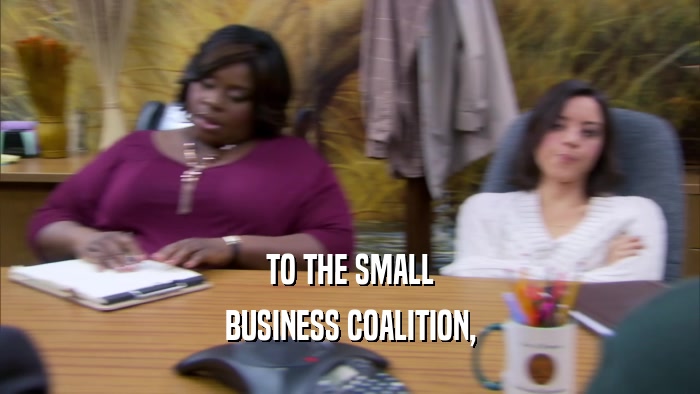 TO THE SMALL BUSINESS COALITION, 