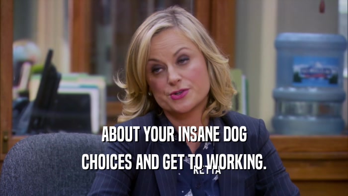 ABOUT YOUR INSANE DOG CHOICES AND GET TO WORKING. 