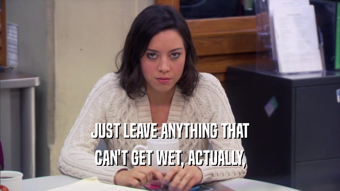 JUST LEAVE ANYTHING THAT CAN'T GET WET, ACTUALLY, 
