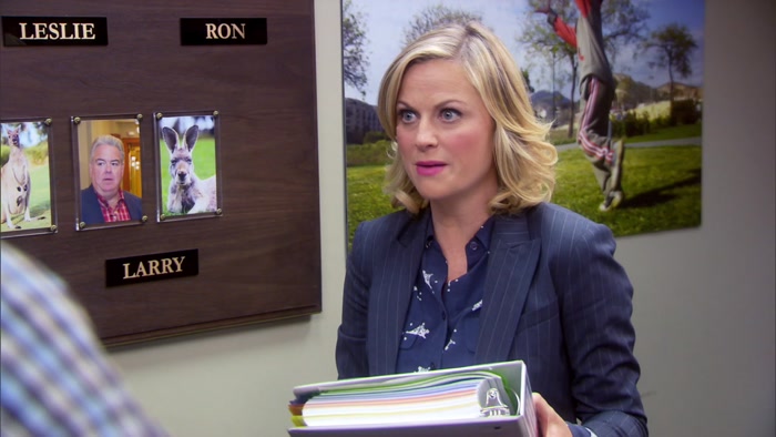 THE LESLIE KNOPE PROJECT PREPAREDNESS SUPER SYSTEM. 