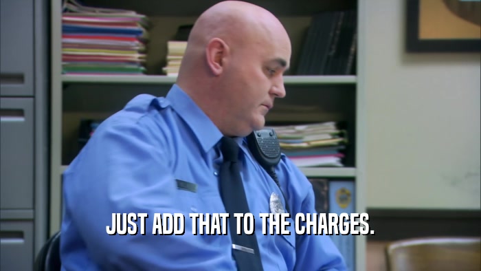 JUST ADD THAT TO THE CHARGES.  