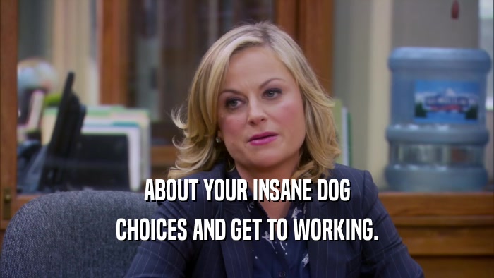 ABOUT YOUR INSANE DOG CHOICES AND GET TO WORKING. 