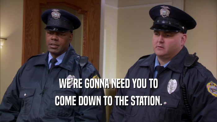 WE'RE GONNA NEED YOU TO COME DOWN TO THE STATION. 