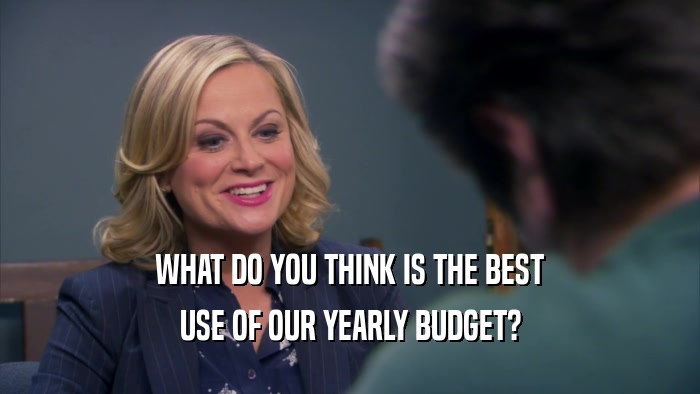 WHAT DO YOU THINK IS THE BEST USE OF OUR YEARLY BUDGET? 