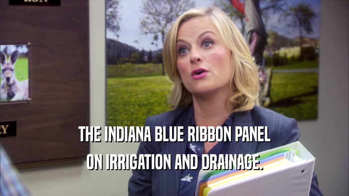 THE INDIANA BLUE RIBBON PANEL ON IRRIGATION AND DRAINAGE. 