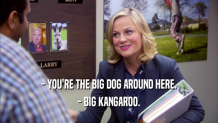 - YOU'RE THE BIG DOG AROUND HERE. - BIG KANGAROO. 