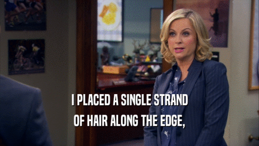 I PLACED A SINGLE STRAND OF HAIR ALONG THE EDGE, 