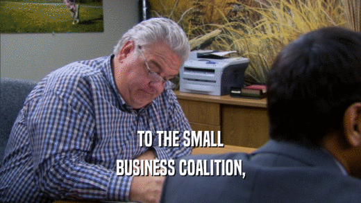 TO THE SMALL BUSINESS COALITION, 
